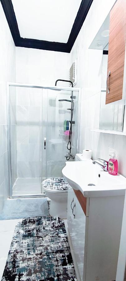 Maria Apart Close To Galata Tower And Taksim * Istanboel
